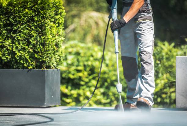 Best Solar Panel Cleaning  in Waupaca, WI